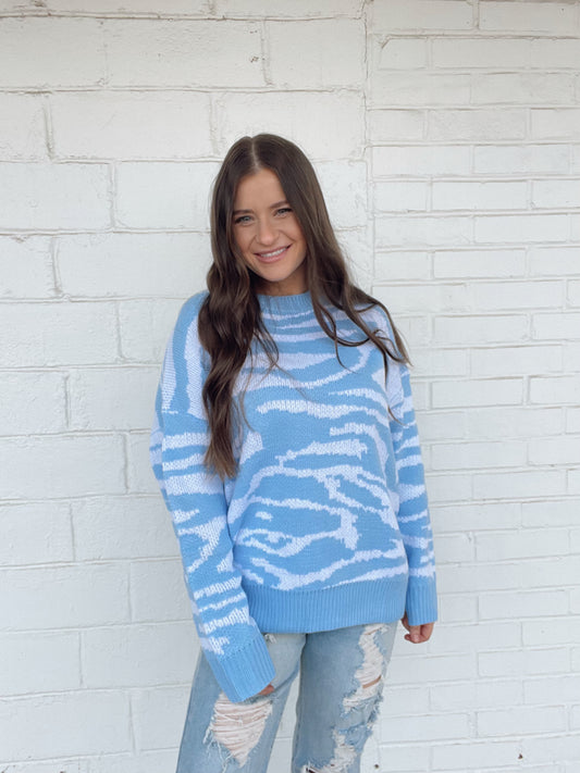 Blue Zebra Sweater